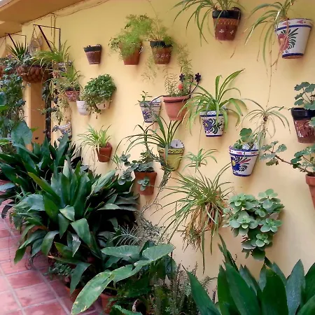 Casa Esperanza Apartment *